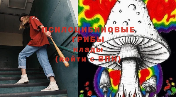 прущий лед Верея