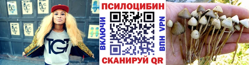 Купить где Высоковск Псилоцибиновые грибы Cubensis