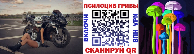 Псилоцибиновые грибы Psilocybine cubensis Высоковск